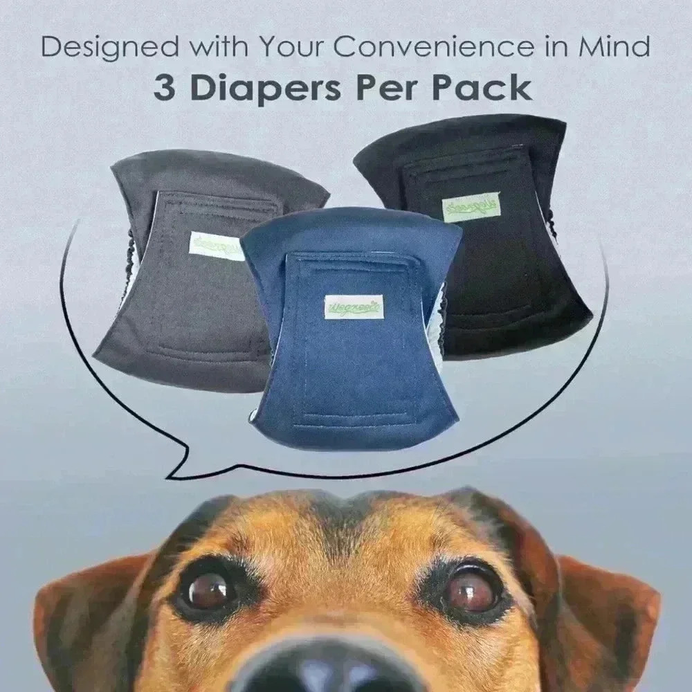 Washable Dog Diapers - Washable Male Dog Belly Wrap - Pack of 3